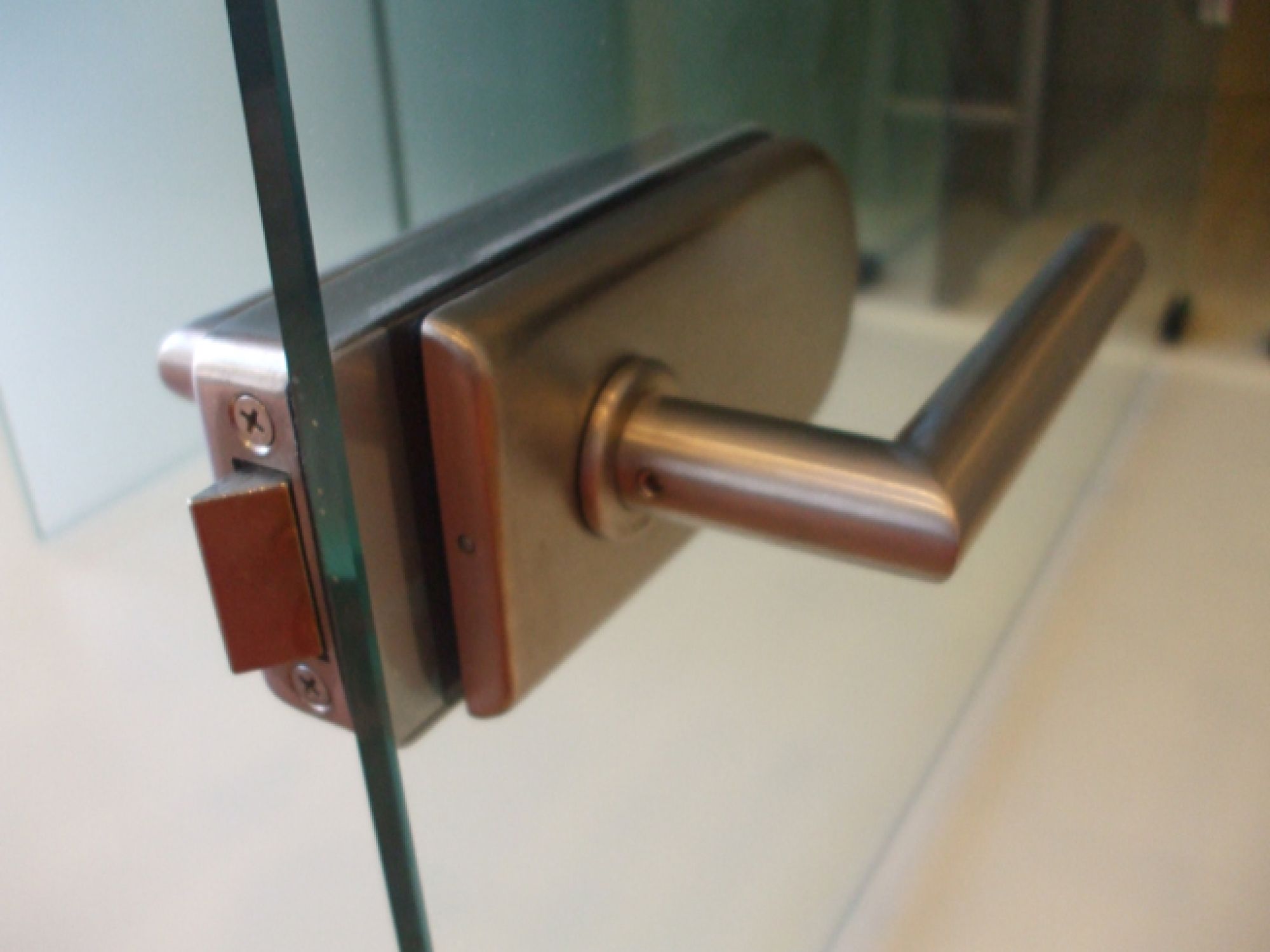 Glastür versch. Glassorten inkl. Zarge Echtholz rund, Beschläge, Griff